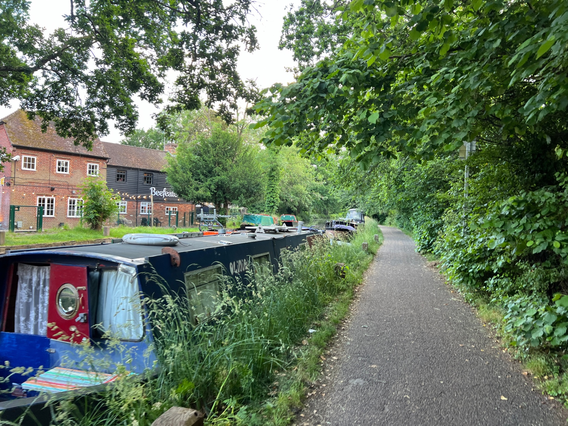 A canal towpath winding past moored narrowboats